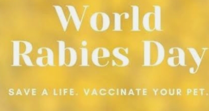 Hari Rabies Sedunia di Kota Jambi, 29 Kasus Gigitan Hewan Peliharaan 