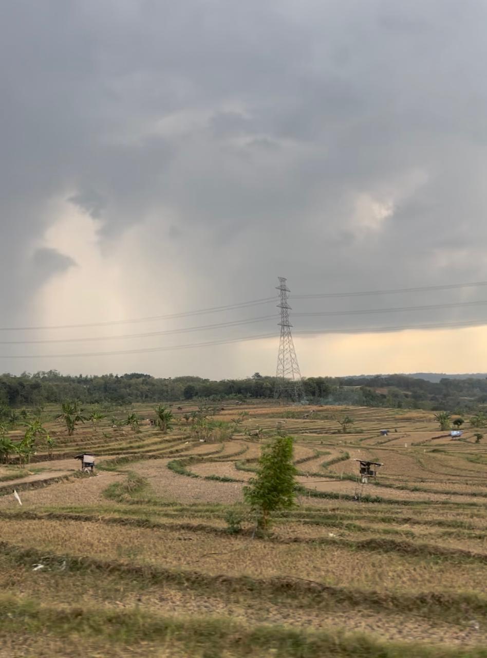 Alih Fungsi Lahan Sawah, Bupati Sebut Fungsi Peran Penyuluh Pertanian Ditinggkatkan