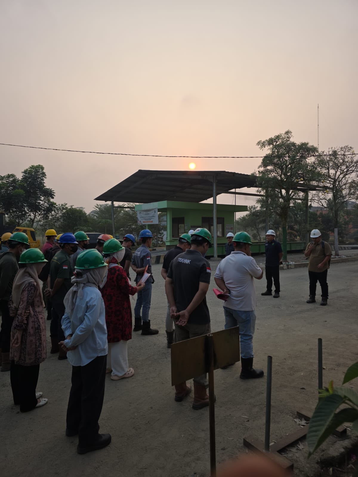 Produksi Kebun Bukit Kausar Tumbuh Positif, Perbaikan Operasional dan SDM Jadi Kunci