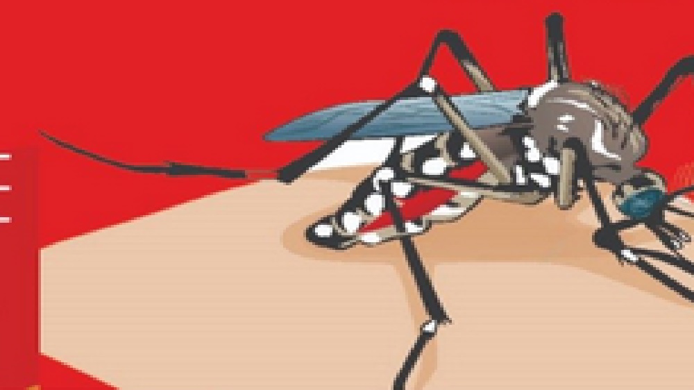 Cara Menghindari Demam Berdarah Dengue (DBD) pada Anak-Anak
