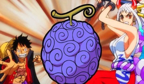 Anime One Piece: 7 Karakter Pemakan Buah Iblis Paramecia yang Menakjubkan
