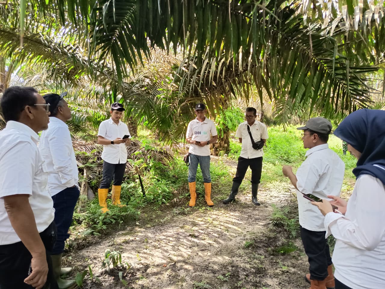 Kebun PTPN IV Regional IV Utamakan Operational Excellence 