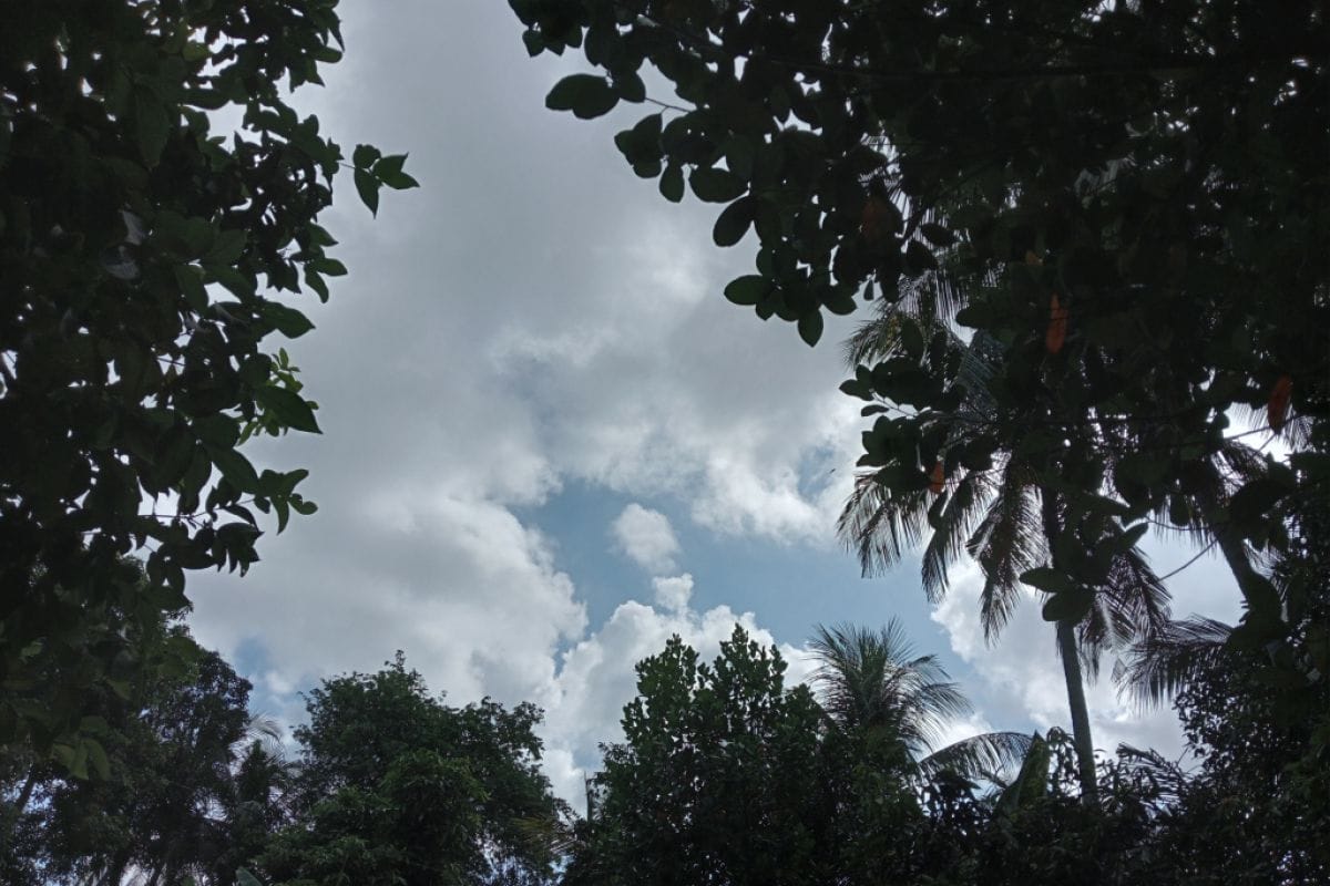 Prakiraan Cuaca Jambi Hari Ini, Minggu 26 Juli 2026