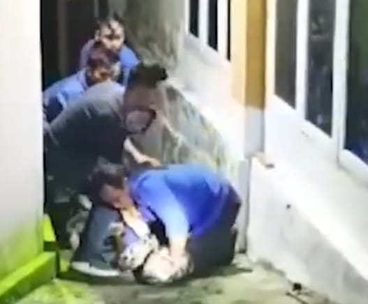 Petugas Damkar Berhasil Menangkap Ular Sanca Sepanjang 5 Meter  