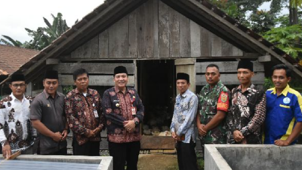 Budidaya Ayam Ternak dapat Meningkatkan Perekonomian Masyarakat di Kabupaten Sarolangun Jambi