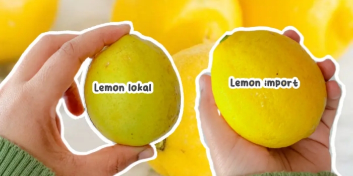 Apa Perbedaan Lemon Lokal dan Lemon Impor? 