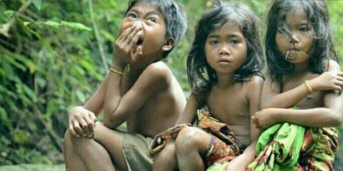 Suku Anak Dalam, Penjaga Hutan Jambi yang Menghadapi Tantangan Modern