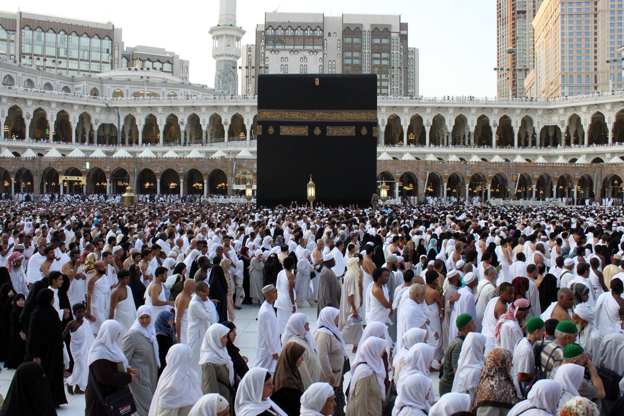 Polemik Haji Furoda 2025 Mulai Dari Visa Ditutup, Ribuan Jemaah Gagal Berangkat dan Tuntutan Refund