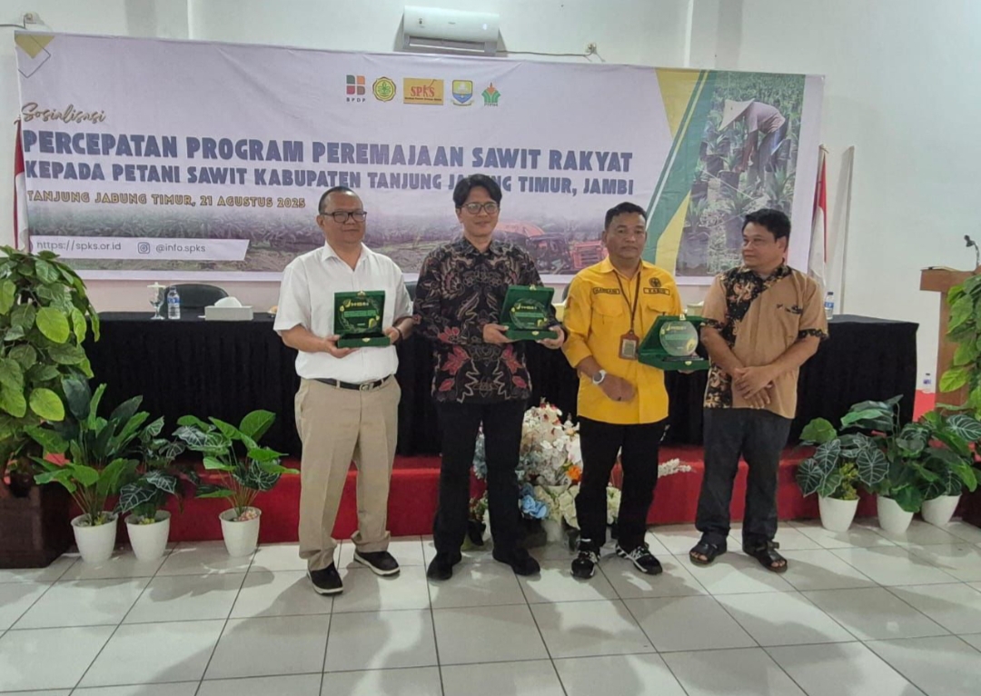Dongkrak Ekonomi Petani, PTPN IV Regional 4 dan SPKS Replanting Sawit Tua