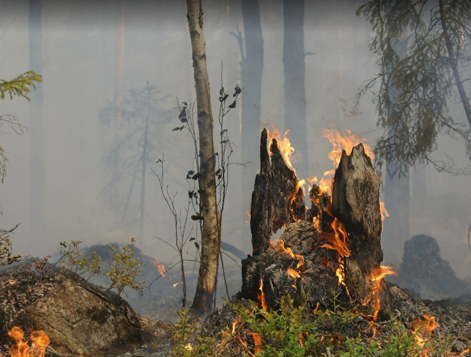 Kapolres Himbau Perusahaan Melengkapi Sarpras Karhutla