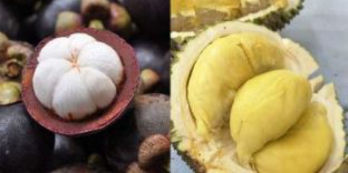 Manggis vs Durian: Perbandingan Nutrisi dan Rasa