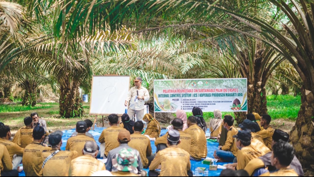 Ratusan Petani Mitra PTPN IV PalmCo Segera Kantongi Sertifikasi RSPO