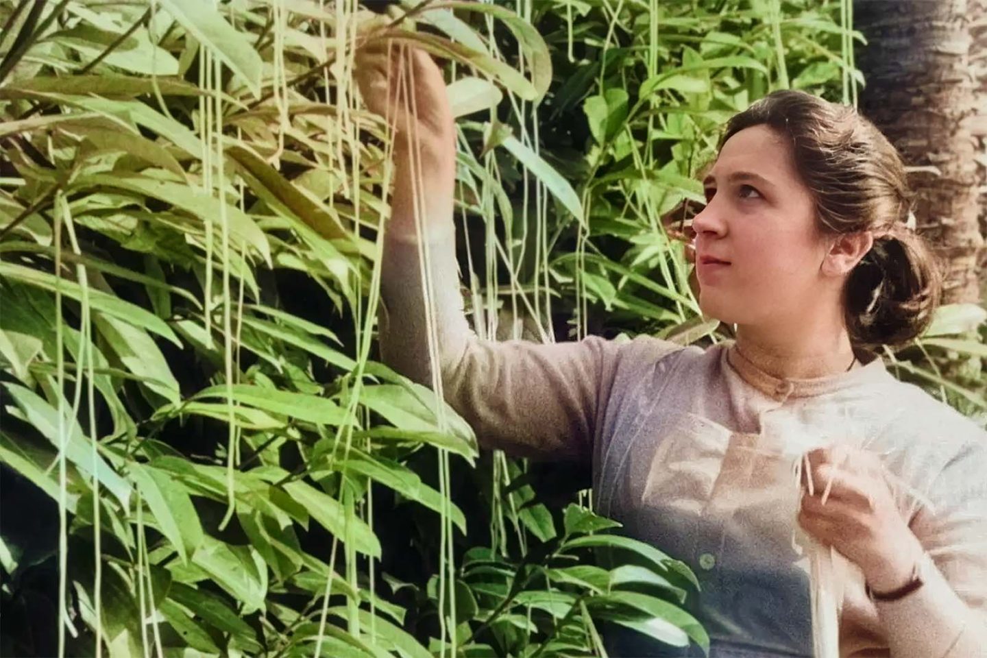 Kisah Lelucon April Mop Paling Ikonik dari Burger Orang Kidal hingga Gunung Berapi Palsu