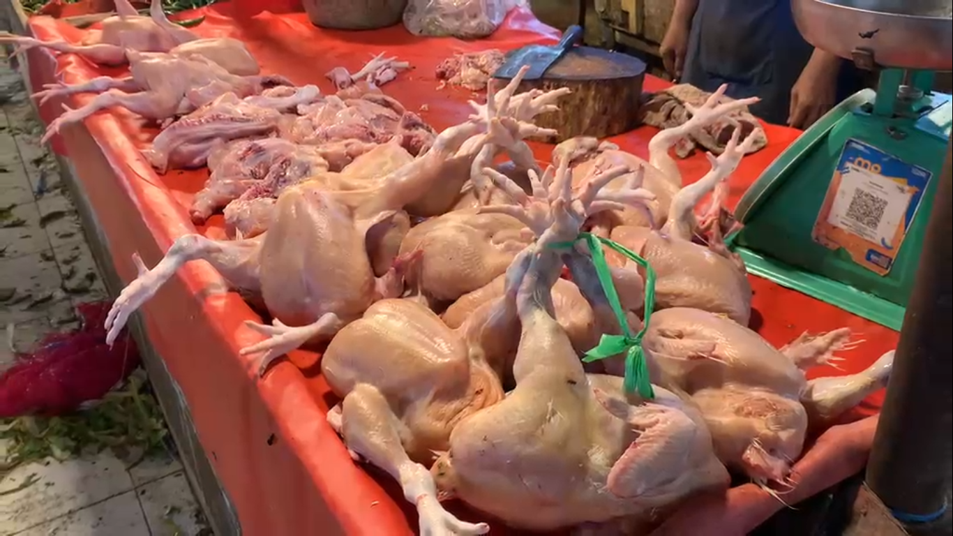 Stok Meningkat, Harga Ayam di Pasar Angso Duo Turun