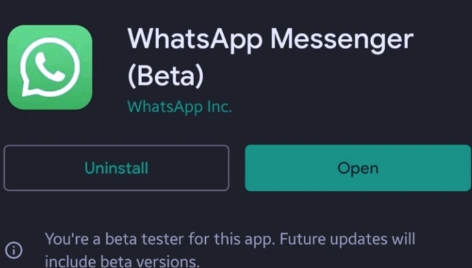 Mengenal Apa Itu WhatsApp Beta dan Cara Downloadnya