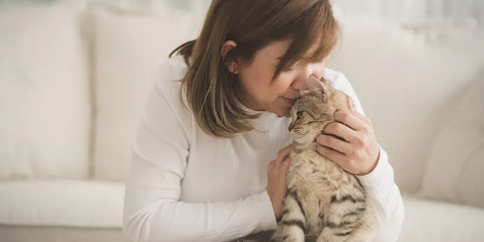 Bulu Kucing Bisa Jadi Sumber Penyakit? Ini Faktanya! 