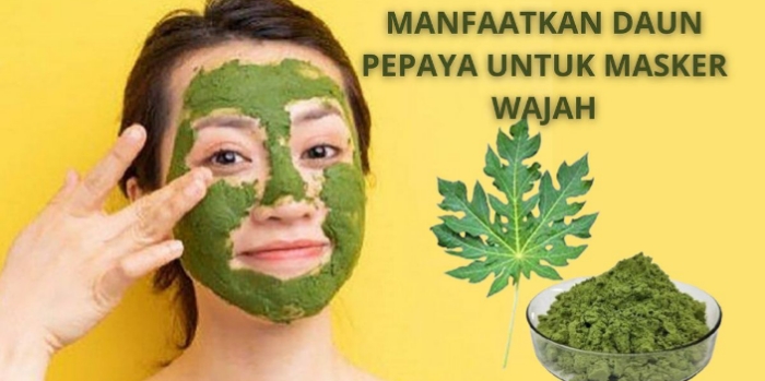 Manfaat Daun Pepaya untuk Kecantikan, Rahasia Cantik Alami