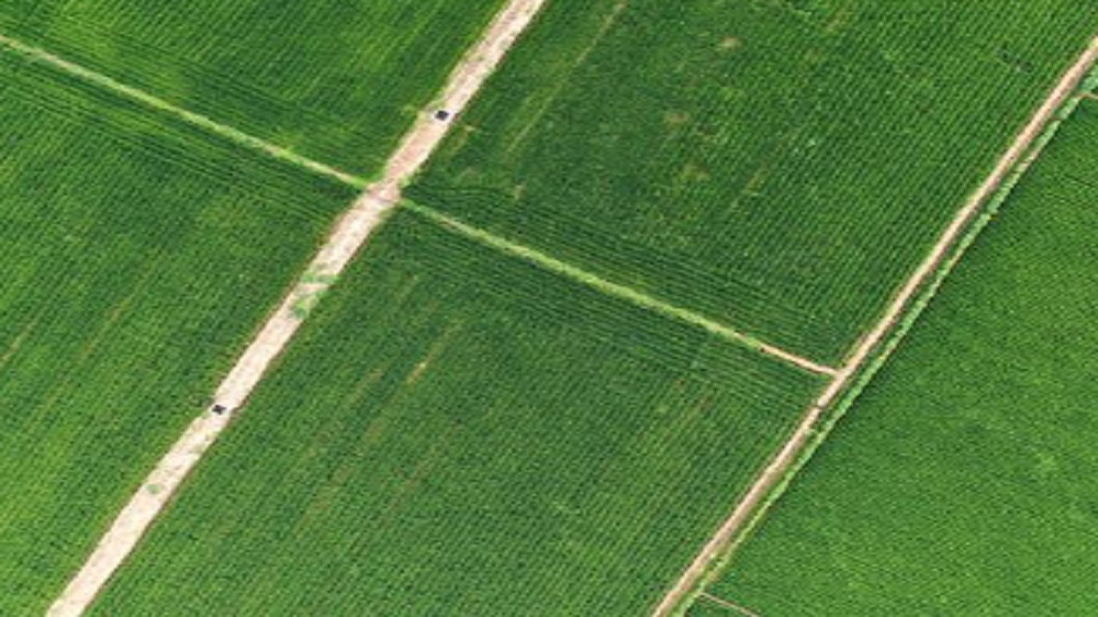 Masa Depan Pertanian, Peran Teknologi dalam Penghasilan Pangan