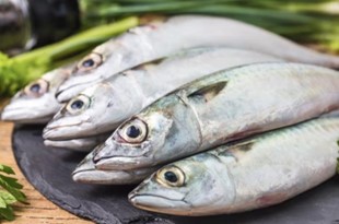 Lezat dan Bergizi, Manfaat Mengkonsumsi Ikan Laut Bagi Kesehatan 