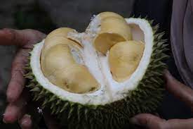 Selain Rasanya yang Lezat dan Enak, Apakah Durian Aman Dikonsumsi Ibu Hamil?