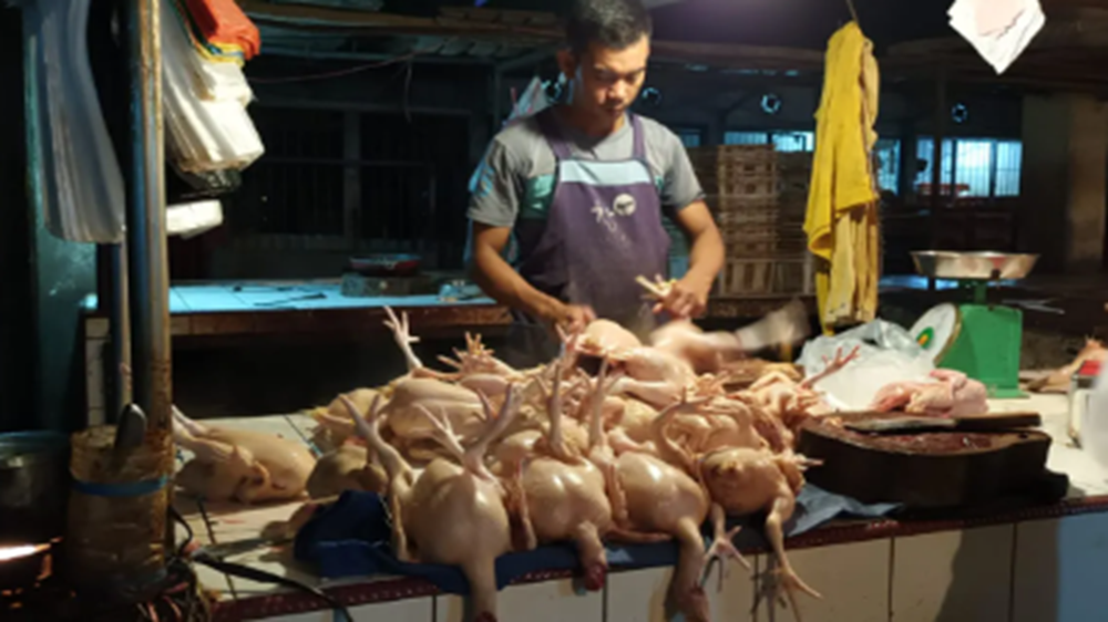 Pedagang Sebut Sepekan Harga Ayam Potong Masih Stabil 37 Ribu Perkilo 
