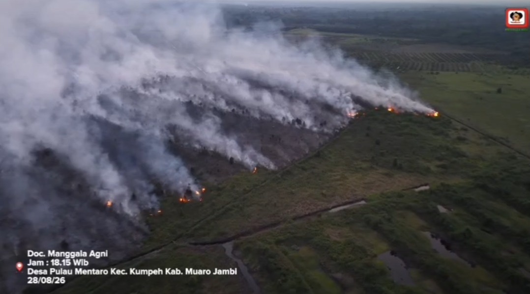 Manggala Agni Berjibaku hingga Larut Malam Padamkan Karhutla di Desa Pulau Mentaro