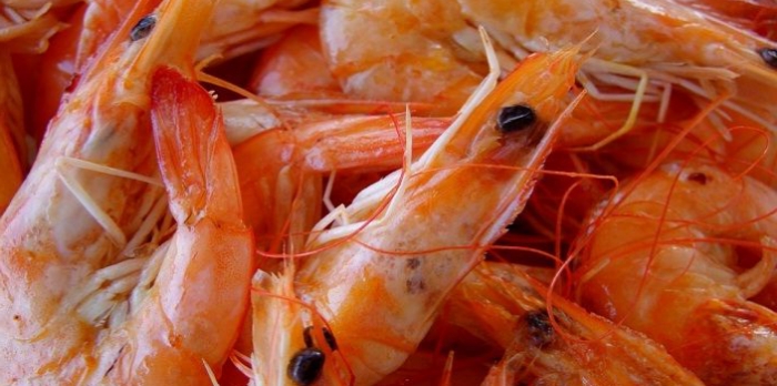 Benarkah Udang Bebas Kolesterol? Mitos atau Fakta yang Perlu Diluruskan