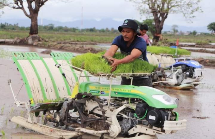 Kunker, Mentan RI Andi Amran Lakukan Akselerasi Pangan Kepada Petani 