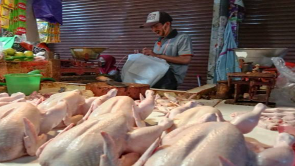 Pedagang Sebut Harga Ayam Potong Tak Menentu 