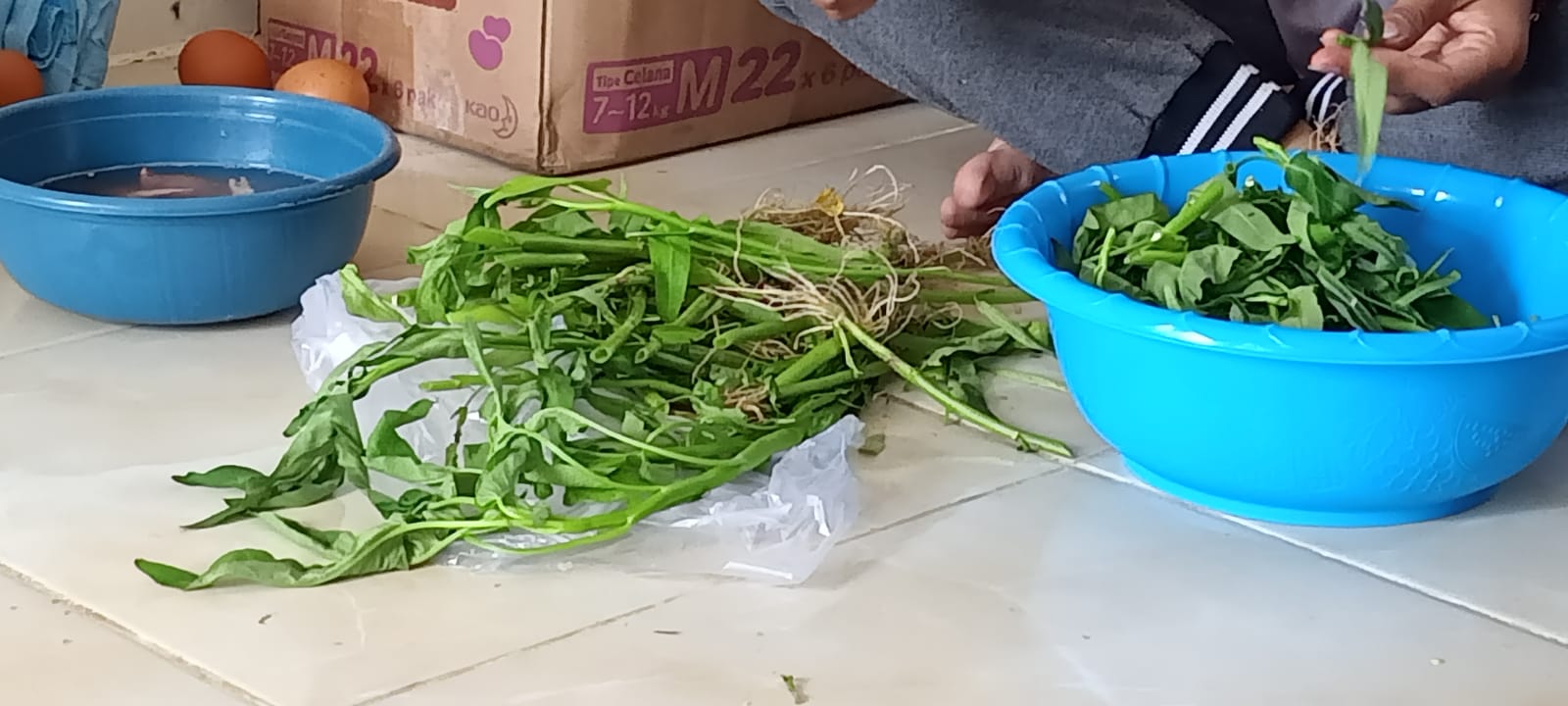 Si Hijau Sayur Kangkung yang Kaya Manfaat