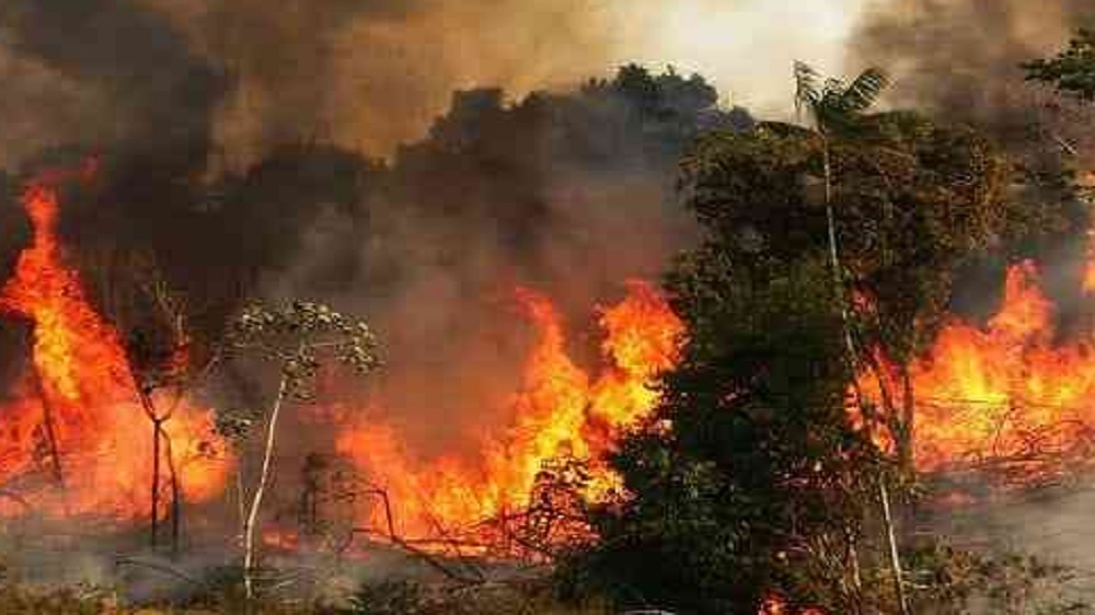 Jambi Siaga Karhutla, 7 dari 3 Daerah di Jambi Sudah Berstatus Siaga