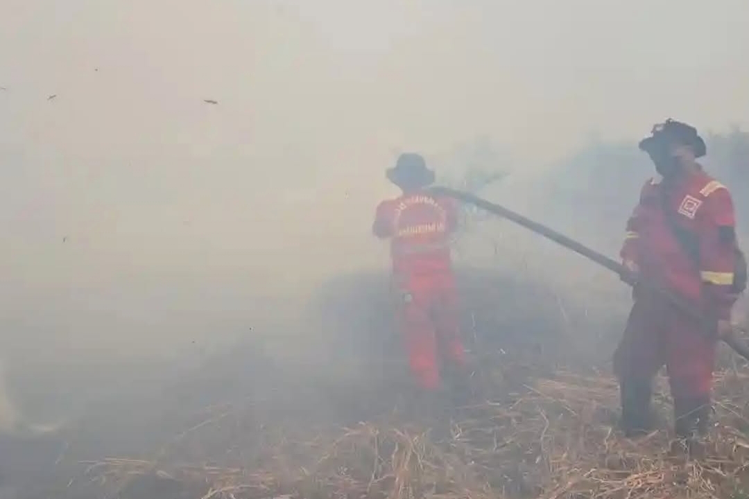 Dana Bantuan Pusat Rp30 Miliar untuk Karhutla Jambi Belum Terserap dan Masih Dibahas di APBD Perubahan