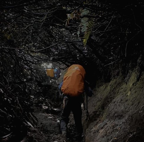 Pendaki Gunung Kerinci di Evakuasi Tim SAR, Yuk Cek Tips Aman Mendaki