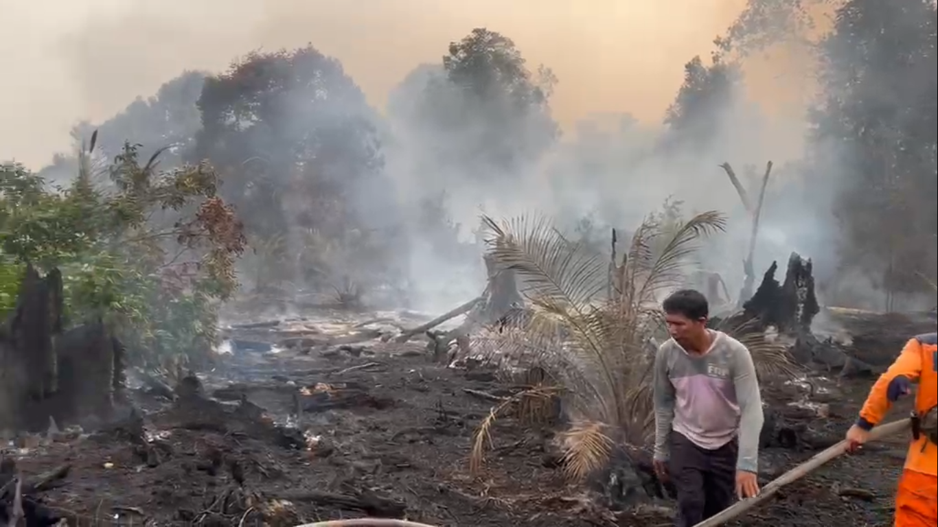 Kebakaran Lahan Hanguskan 2 Hektare di Pematang Lumut Tanjab Barat