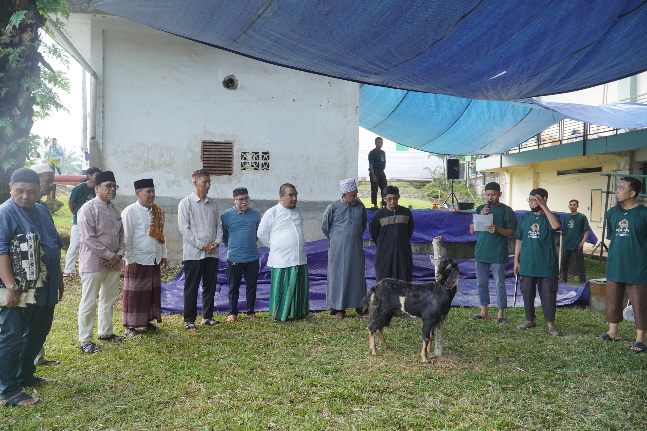 PTPN IV Regional IV Potong 7 Sapi 3 Kambing Kurban