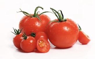 Tomat, Buah Merah Pelengkap Masakan dan Sajian Tepat Menu Diet Sehat