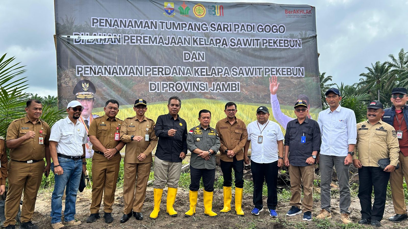 PTPN IV Regional 4, Tanam Padi Gogo Tumpang Sari Kelapa Sawit di Lahan PSR