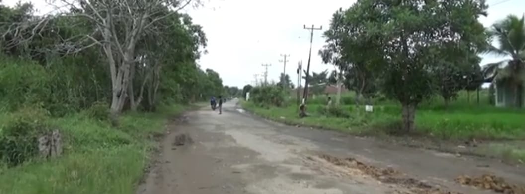 Jalan Lintas Tungkal Jambi Berlobang, Warga Sekitar Jalan Inisiatif Timbun Gunakan Tanah Dipinggir Jalan