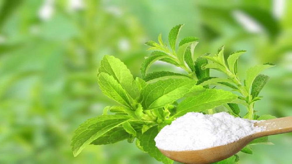 Ada yang Manis Tapi Bukan Gula, Stevia Pemanis Pengganti Gula