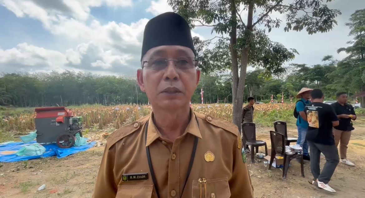Dukung Ketahanan Pangan, Pemkab Tebo Ajukan 18 Ton Benih Jagung