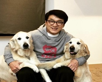 Mencengangkan! Kisah Jackie Chan dari Tak Punya Harta Menjadi Jutawan Bergelimang Harta