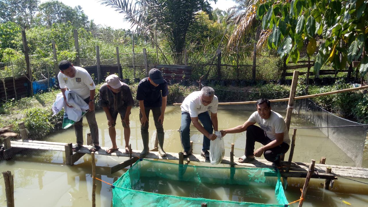 PTPN IV PalmCo Perluas Program Pelestarian Lingkungan Melalui Penyaluran Puluhan Ribu Bibit Pohon dan Ikan