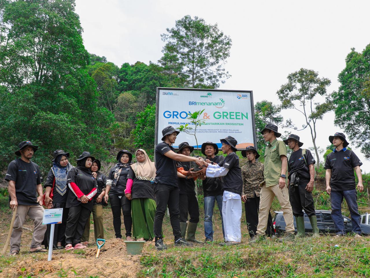 Pulihkan Hutan Bekas Tambang, Aksi Nyata Kelompok Tani Selamatkan Lingkungan Bersama BRI Menanam-Grow