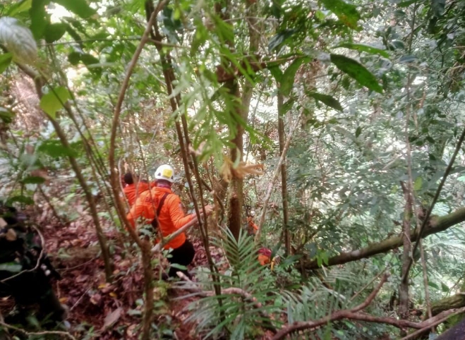 2 Orang Hilang di Hutan Desa Masgo saat Mencari Kayu Bakar, Tim Pos SAR Kerinci lakukan Pencarian