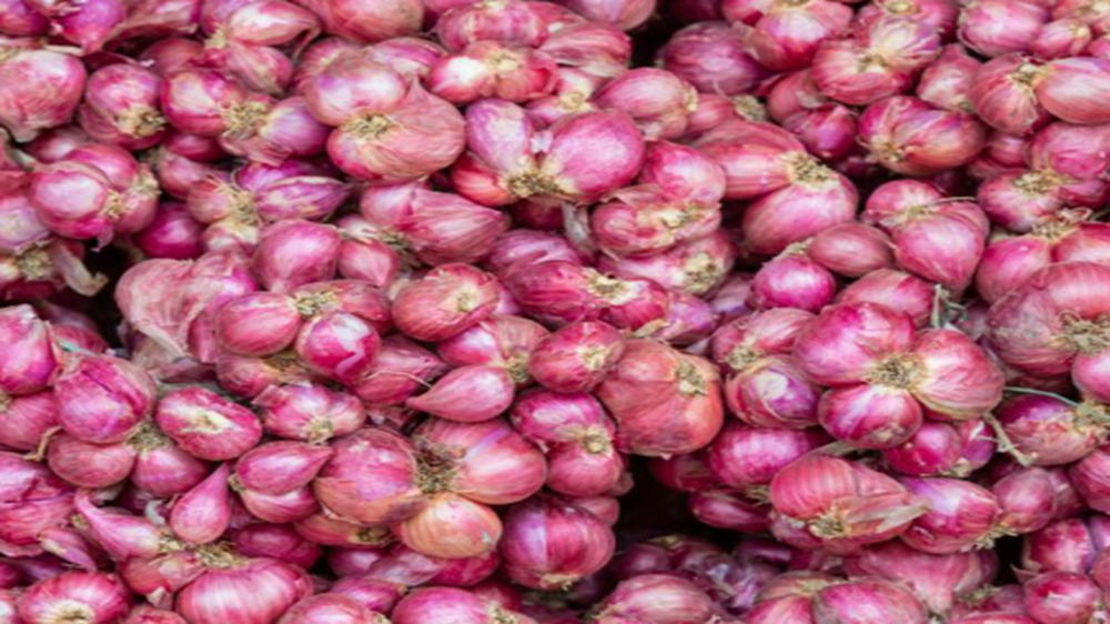 Masyarakat Minta Pemerintah Turunkan Harga Bawang Merah 