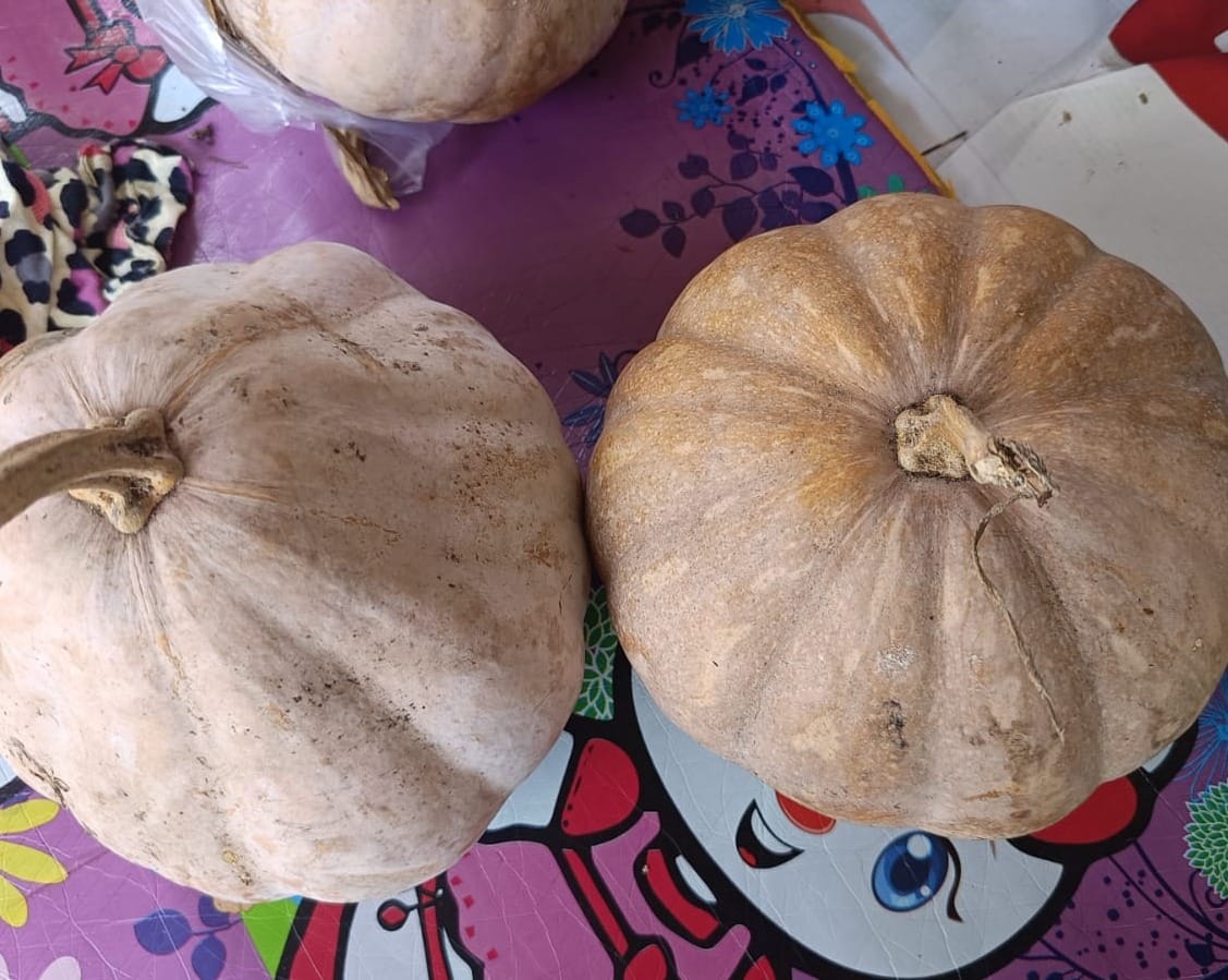 Penderita Asam Lambung Wajib Tahu Manfaat Konsumsi Sepotong Labu Kuning