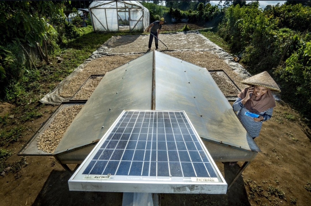 Wujudkan Komitmen Sebagai World-Class Sustainable Banking Group, BRI Perkuat Kontribusi terhadap SDGs