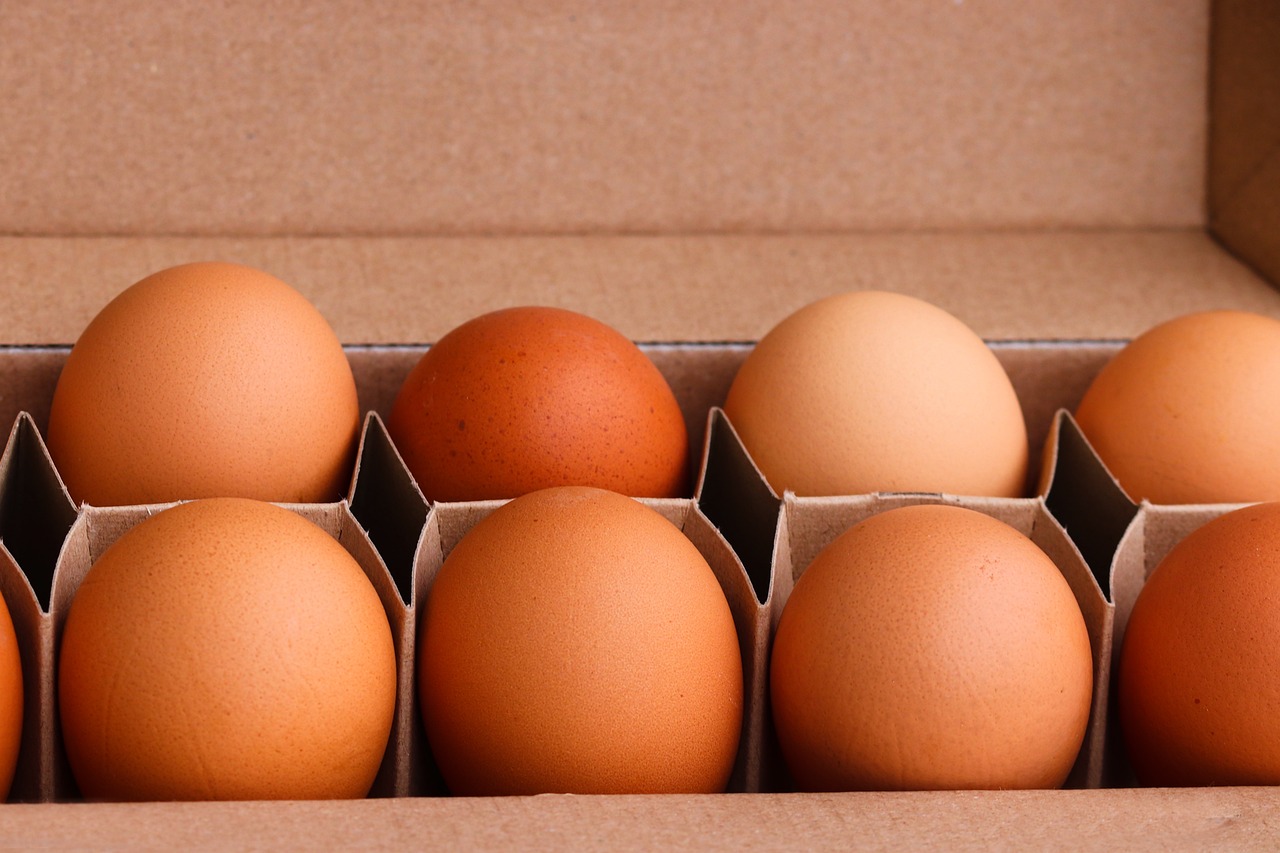 Sumber Protein yang Melimpah, Inilah 6 Manfaat Mengkonsumsi Telur Secara Teratur