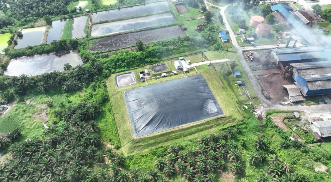 PTPN IV: Rp150 Ribu Bisa Beli Karbon Selamatkan Lingkungan