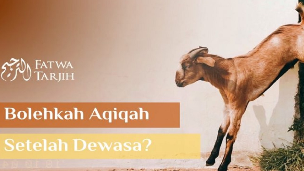 Sudah Dewasa Belum Aqiqah Apakah Boleh? Begini Penjelasannya